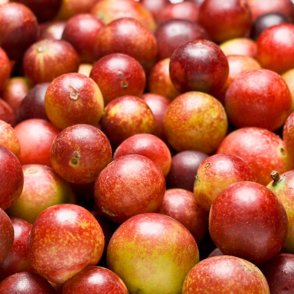 Camu camu