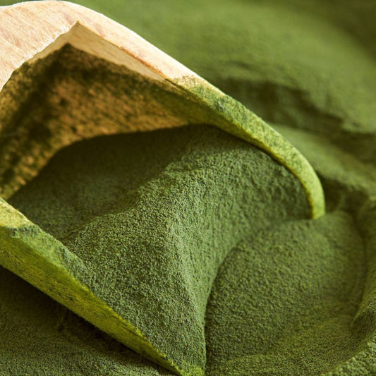 Chlorella