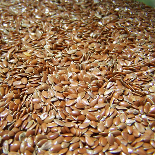 Flax seed