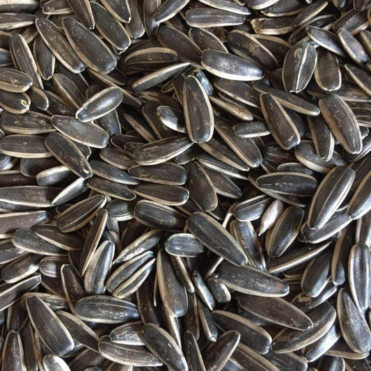 Sunflower seeds